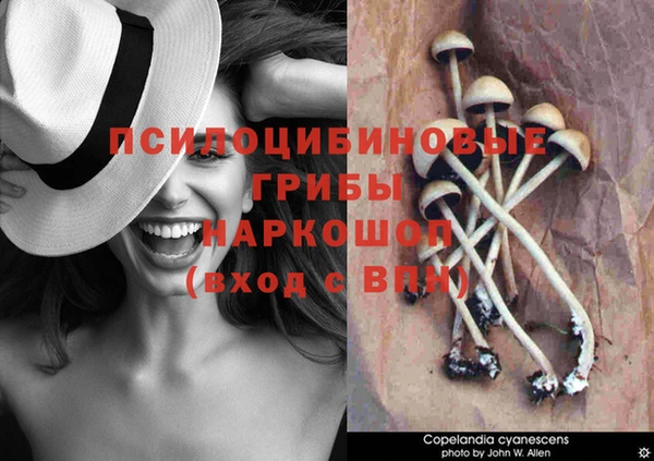 амф Белоозёрский