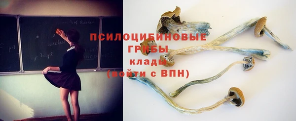 MDMA Белокуриха