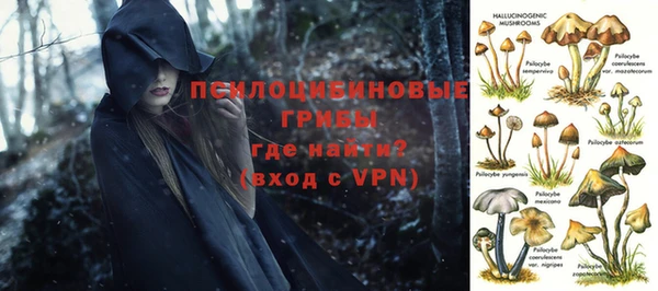 герыч Балахна