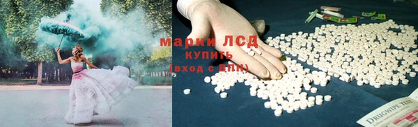 мяу мяу кристалл Богданович