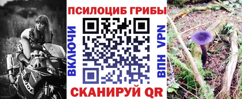 цена Минеральные Воды Галлюциногенные грибы Magic Shrooms